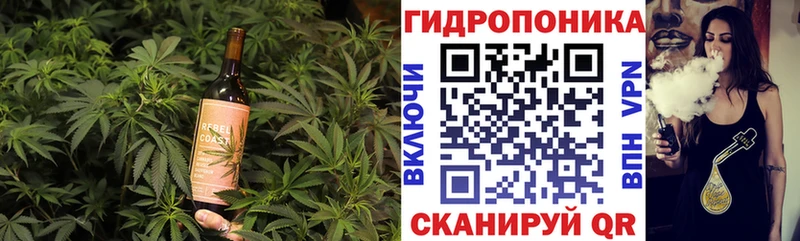 Cannafood конопля  где продают   Сорск 