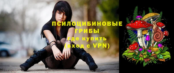 мдма Пересвет